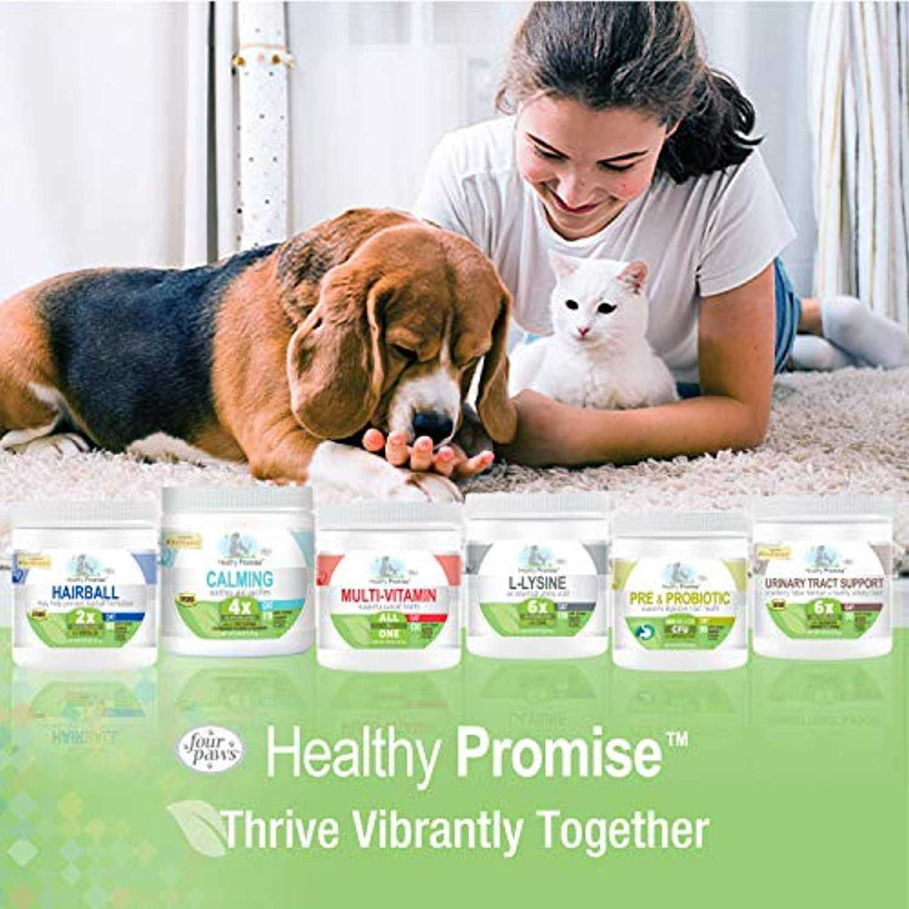 Probiotic Supplement for Cats X284